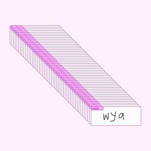 WYA (feat. size eleven) (Explicit)