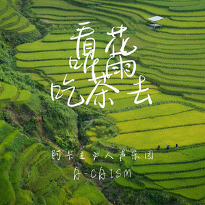 看花听雨吃茶去