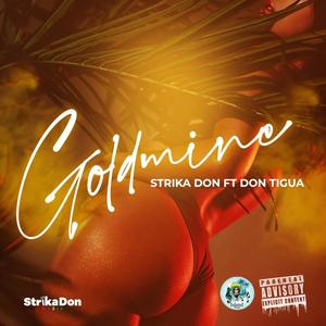 Gold Mine (feat. Don Tigua) (Explicit)