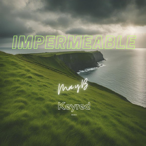 Impermeable (Remix|Explicit)