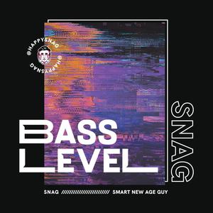 Bass Level