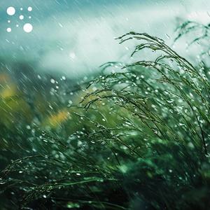 Rain and Wind Symphonies