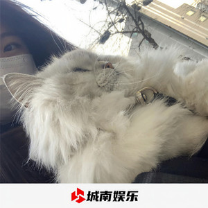 孤独让人踏实