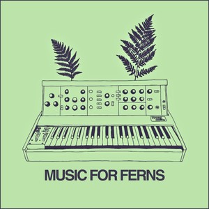 Music for Ferns