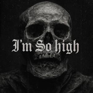 I'm So High (RMX|Explicit)