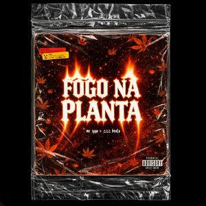 Fogo na Planta (feat. Zzz Beats) (Explicit)