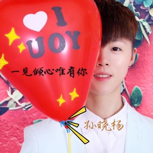 一见倾心唯有你