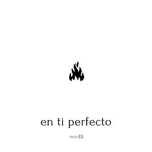 En ti perfecto