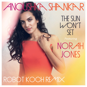 The Sun Won't Set (Robot Koch Remix)