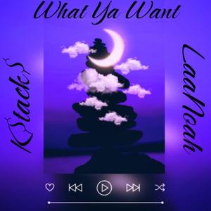 What Ya Want (feat. LaaSlime) (Explicit)