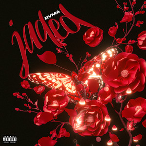 Giving up on Love (Explicit)