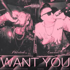 Want You (Explicit)