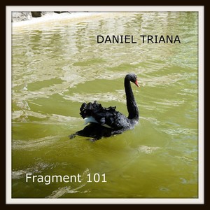 Fragment 101