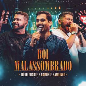 Boi Malassombrado (Ao Vivo)