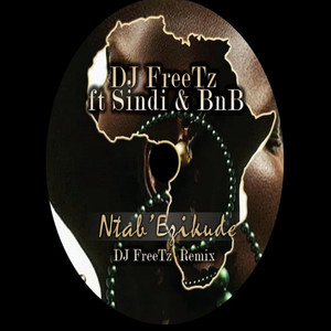 Ntab' Ezikude (DJ FreeTz Remix)