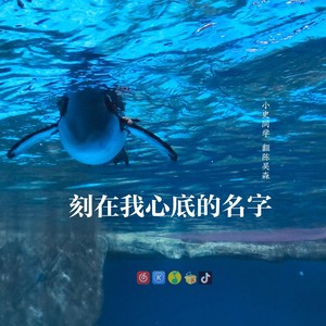 刻在我心底的名字