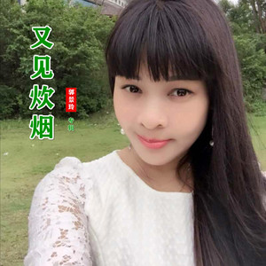 酒醉的蝴蝶