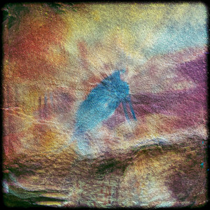 Okavango (Instrumental)