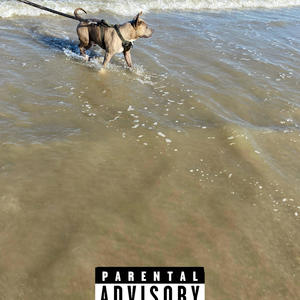 Off the leash (feat. Scrim47)