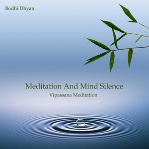 Meditation And Mind Silence (Vipassana Meditation)
