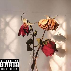 Red Draft (Explicit)