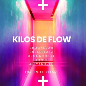 Kilos de Flow (feat. Broganjah, Enesebeatz, Gonce & Aleyandreh) [Explicit]