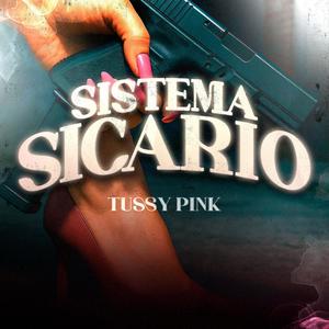 Sistema Sicario