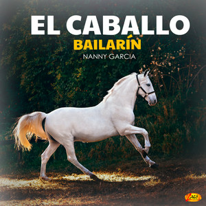 El Caballo Bailarín