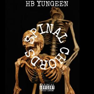 Spinal Chords (Explicit)