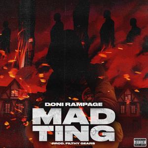 Mad Ting (feat. Filthy Gears) (Explicit)