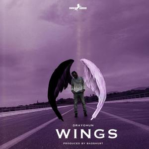 WINGS