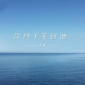 你终于等到他封面