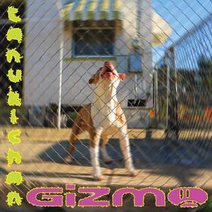 GIZMO (Explicit)