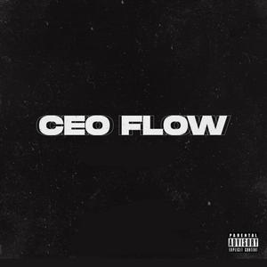 CEO FLOW (Explicit)