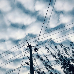 Despacito (二胡版)