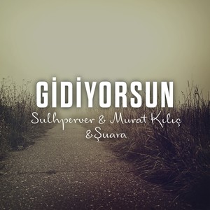 Gidiyorsun