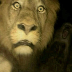 205 AM (feat. Willow & buriedIINJAPAN) (Explicit)