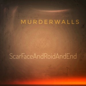 ScarFaceAndRoidAndEnd