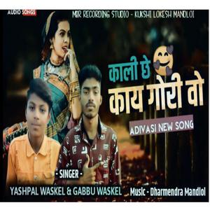 Kali Che Kaai Gori Adivasi (feat. Yashpal waskel & Gabbu waskel)