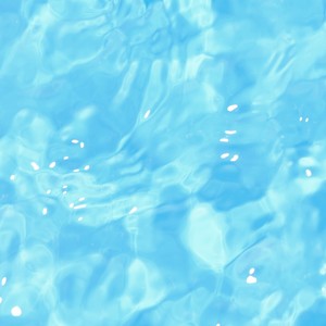 海月 feat. こがね