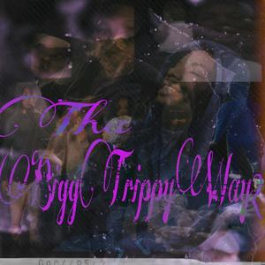 BiggTrippy Flow (Explicit)
