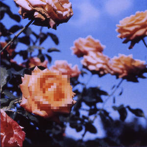 letting out a deep breath