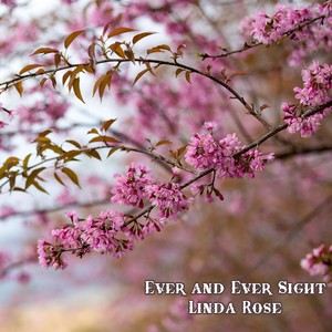 Ever and Ever Sight