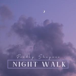 Night Walk