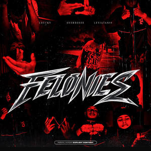 FELONIES (Remix)