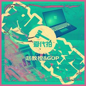 Pz赵教授 - 爱代拍