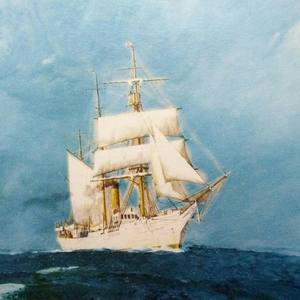 白帆船和长角鹿(prod by.YXT)