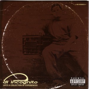 DL Incognito - Life's a Collection of Experiences (Explicit)