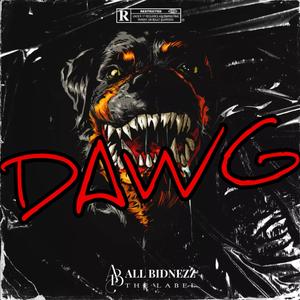 DAWG (Explicit)