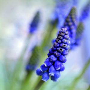 Baby Sleeping Noises with Fan Sound(Looped, No Fade)